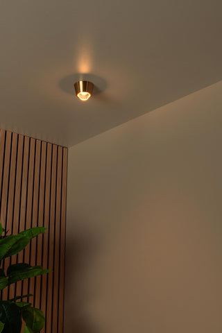 RIGON - Ceiling light - Ø 9 cm - LED - 1x7W 3000K - Matt Gold / Brass