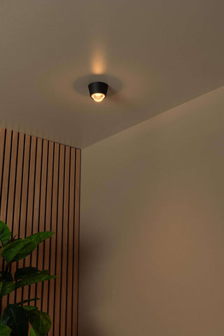 RIGON - Plafonnier - Ø 9 cm - LED - 1x6W 3000K - Noir