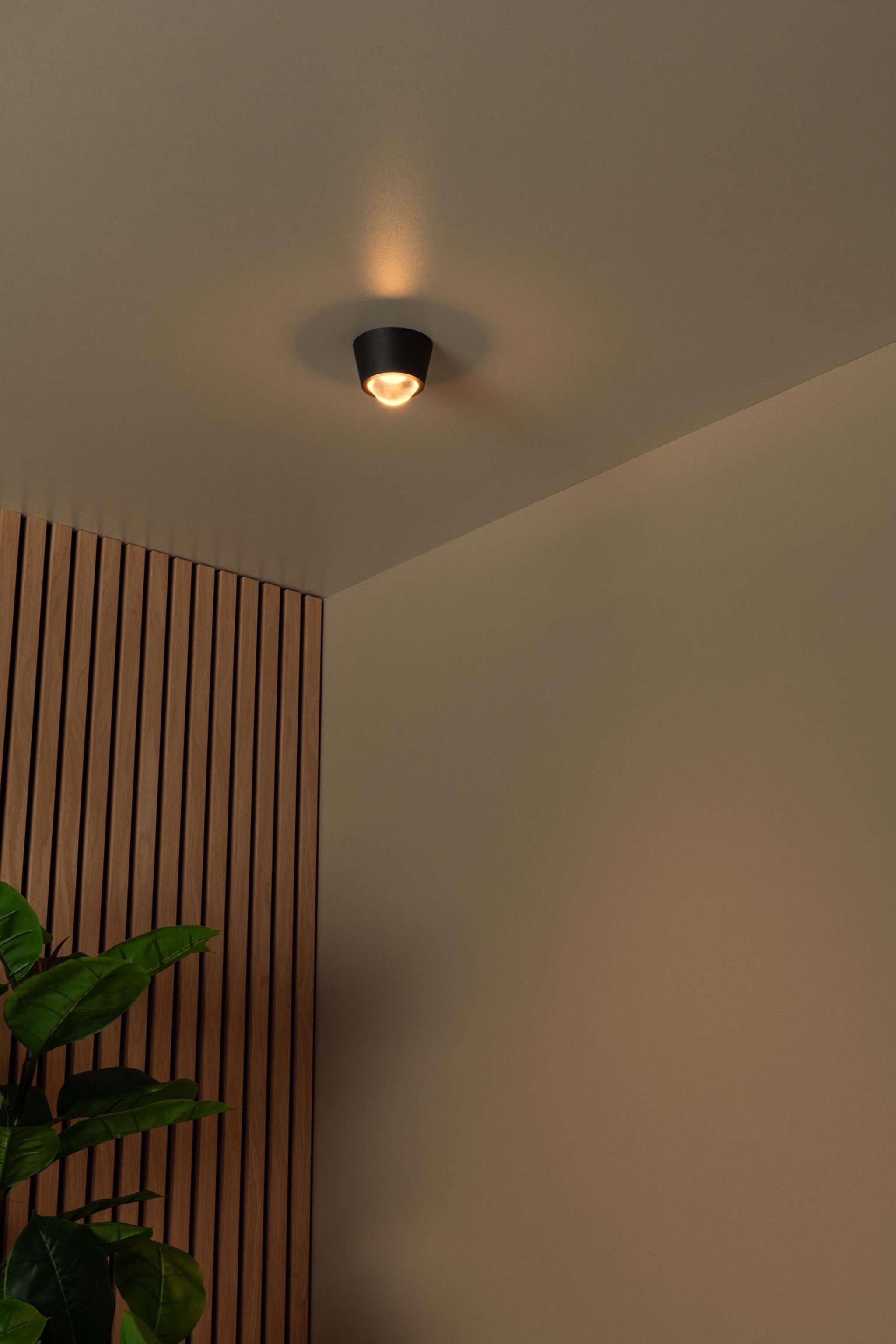 RIGON - Plafonnier - Ø 9 cm - LED - 1x6W 3000K - Noir