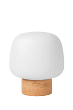 ANSTON - Tafellamp - 1xE14 - Opaal