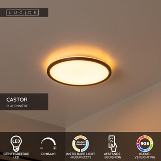 CASTOR - Plafonnière - Ø 32 cm - LED Dimb. - CCT - 1x20W 2700K/6500K - RGB - Opaal
