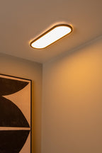 ELLY - Ceiling light - LED Dimmable - CCT - 1x24W 2700K/4000K - Opal | Essential