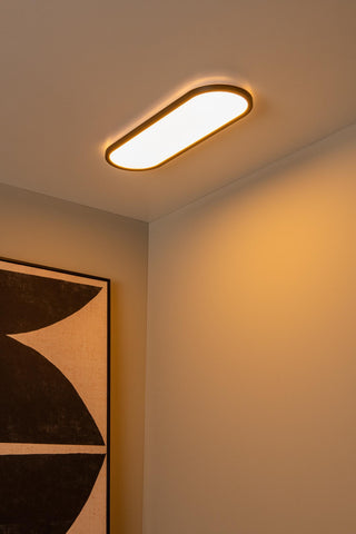 ELLY - Ceiling light - LED Dimmable - CCT - 1x24W 2700K/4000K - Opal | Essential