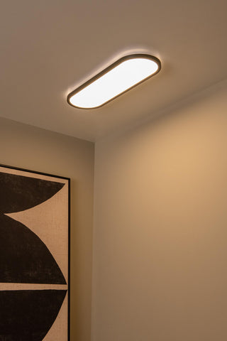 ELLY - Ceiling light - LED Dimmable - CCT - 1x24W 2700K/4000K - Opal | Essential