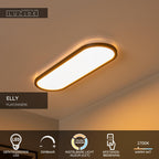 ELLY - Ceiling light - LED Dimmable - CCT - 1x24W 2700K/4000K - Opal | Essential