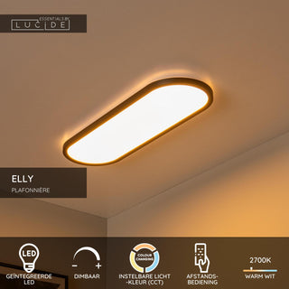 ELLY - Ceiling light - LED Dimmable - CCT - 1x24W 2700K/4000K - Opal | Essential