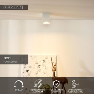 BODI - Plafondspot - 1xGU10 - Wit