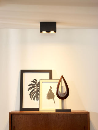 BODI - Spot plafonnier - 2xGU10 - Noir