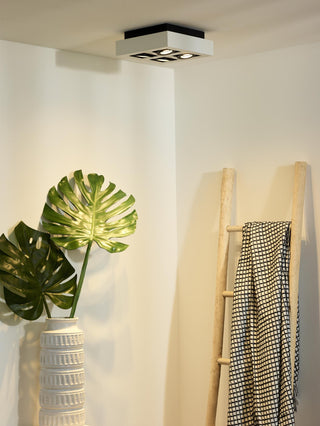 XIRAX - Ceiling spot - LED Dim to warm - GU10 - 4x5W 2200K/3000K - White