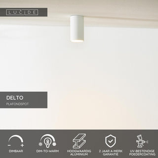 DELTO - Ceiling spot - Ø 5.5 cm - LED Dim to warm - GU10 - 1x5W 2200K/3000K - White