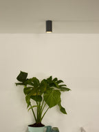 DELTO - Plafondspot - Ø 5,5 cm - LED Dim to warm - GU10 - 1x5W 2200K/3000K - Grijs