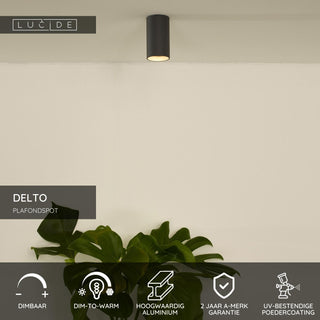 DELTO - Plafondspot - Ø 5,5 cm - LED Dim to warm - GU10 - 1x5W 2200K/3000K - Grijs