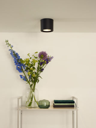 FEDLER - Ceiling spot - Ø 12 cm - LED Dim to warm - GU10 (ES111) - 1x12W 2200K/3000K - Black