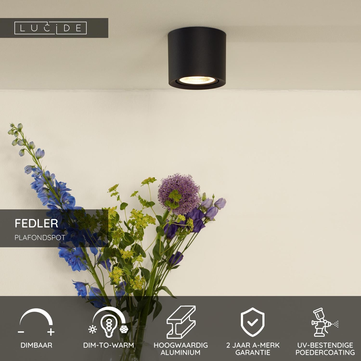 FEDLER - Ceiling spot - Ø 12 cm - LED Dim to warm - GU10 (ES111) - 1x12W 2200K/3000K - Black