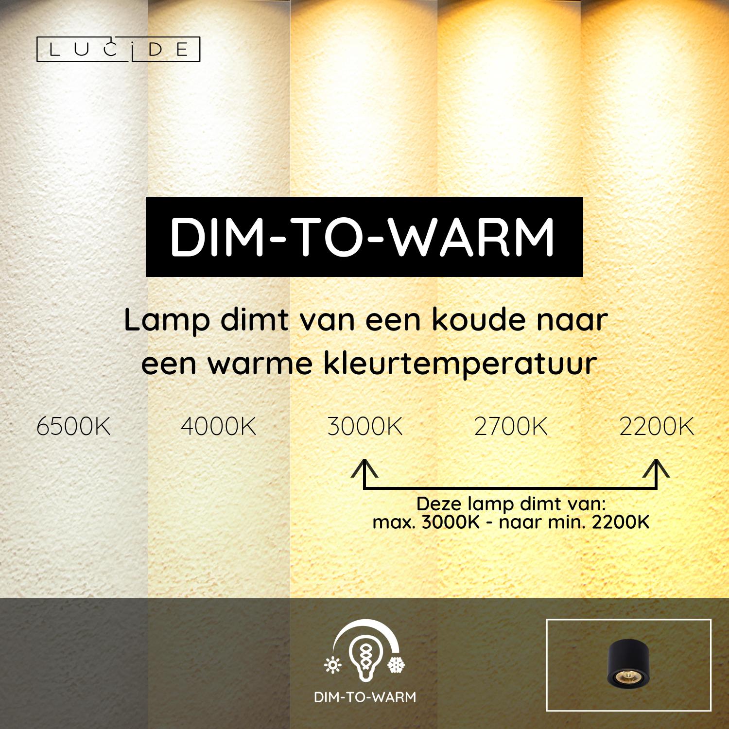FEDLER - Ceiling spot - Ø 12 cm - LED Dim to warm - GU10 (ES111) - 1x12W 2200K/3000K - Black
