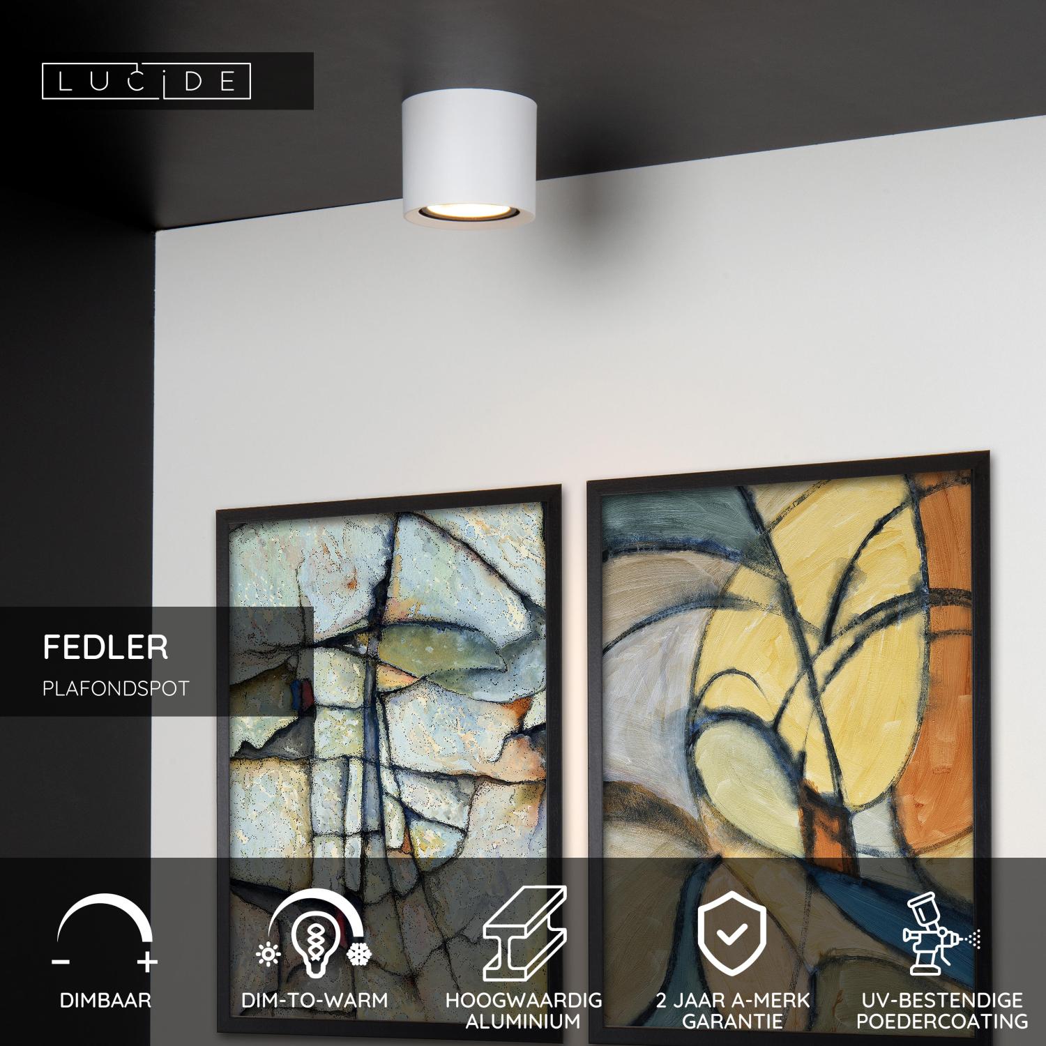 FEDLER - Spot plafonnier - Ø 12 cm - LED Dim to warm - GU10 (ES111) - 1x12W 2200K/3000K - Blanc