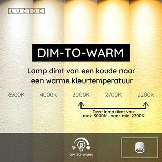 FEDLER - Spot plafonnier - Ø 12 cm - LED Dim to warm - GU10 (ES111) - 1x12W 2200K/3000K - Blanc