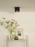 FEDLER - Ceiling spot - LED Dim to warm - GU10 (ES111) - 1x12W 2200K/3000K - Black