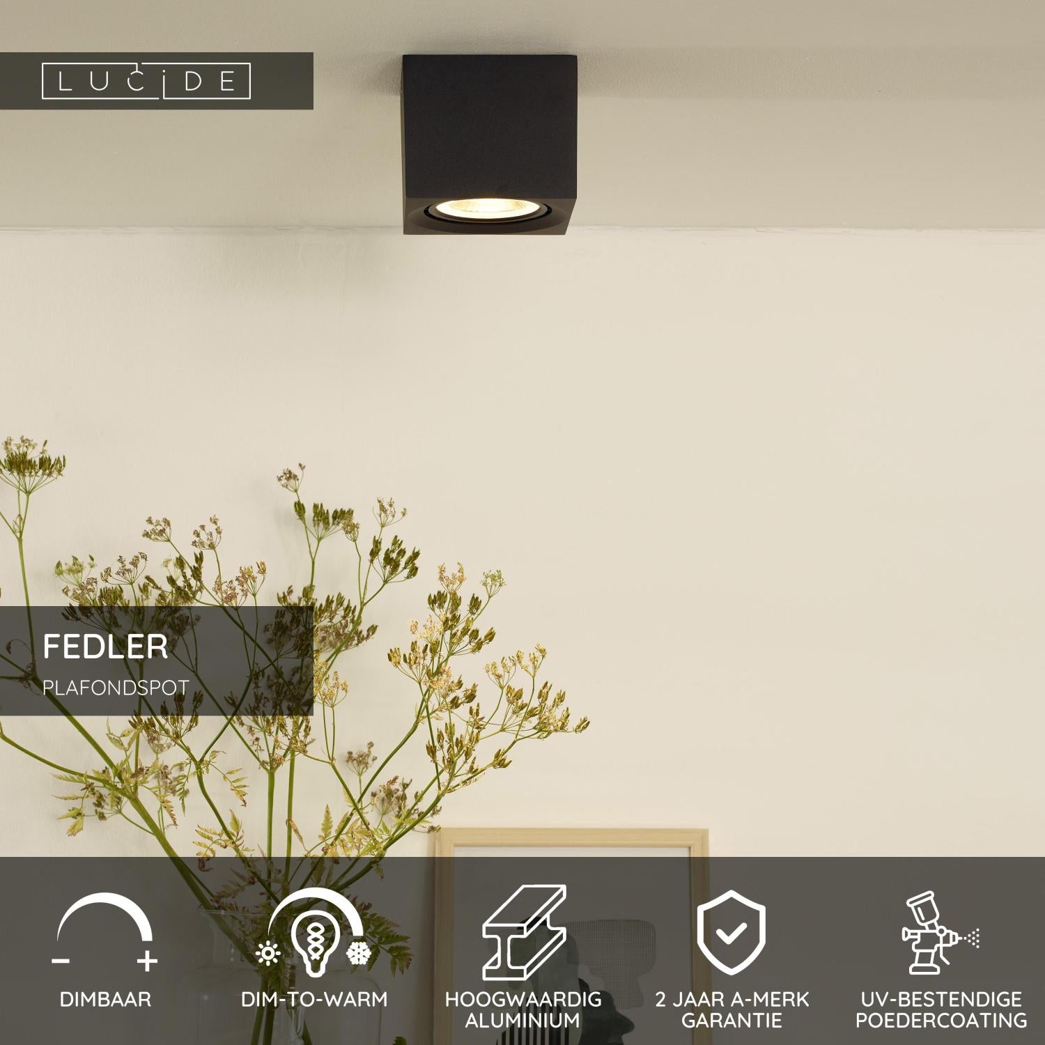 FEDLER - Ceiling spot - LED Dim to warm - GU10 (ES111) - 1x12W 2200K/3000K - Black