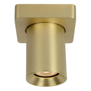 NIGEL - Plafondspot - LED Dim to warm - GU10 - 1x5W 2200K/3000K - Mat Goud / Messing