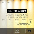 NIGEL - Plafondspot - LED Dim to warm - GU10 - 2x5W 2200K/3000K - Zwart