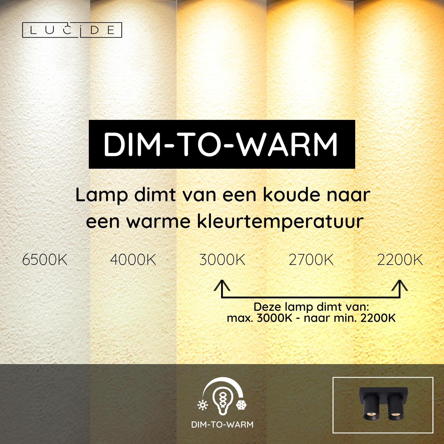 NIGEL - Plafondspot - LED Dim to warm - GU10 - 2x5W 2200K/3000K - Zwart