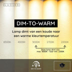 NIGEL - Plafondspot - LED Dim to warm - GU10 - 4x5W 2200K/3000K - Zwart