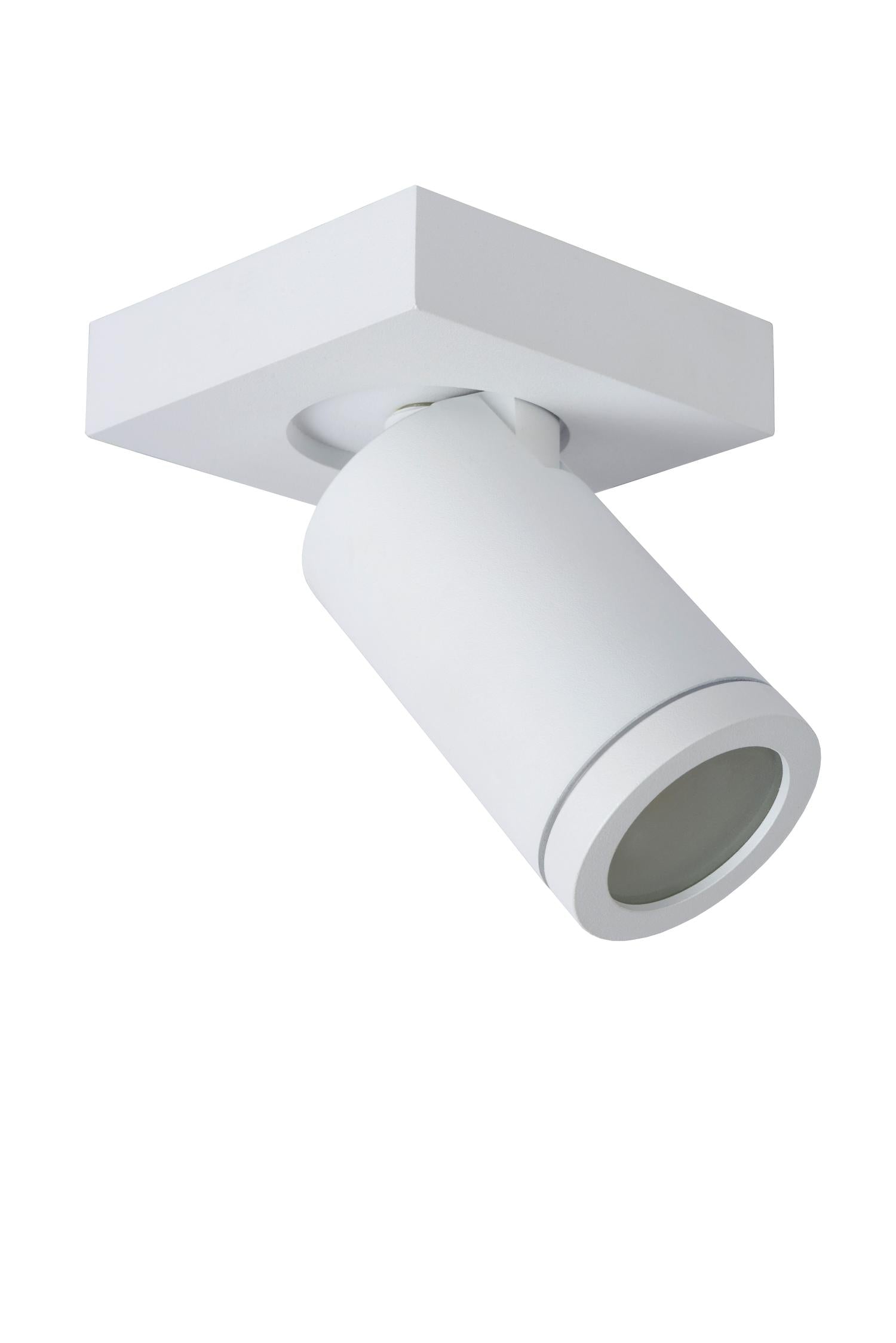 TAYLOR - Ceiling spot Bathroom - LED Dim to warm - GU10 - 1x5W 2200K/3000K - IP44 - White