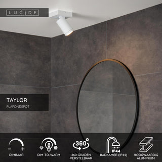 TAYLOR - Ceiling spot Bathroom - LED Dim to warm - GU10 - 1x5W 2200K/3000K - IP44 - White