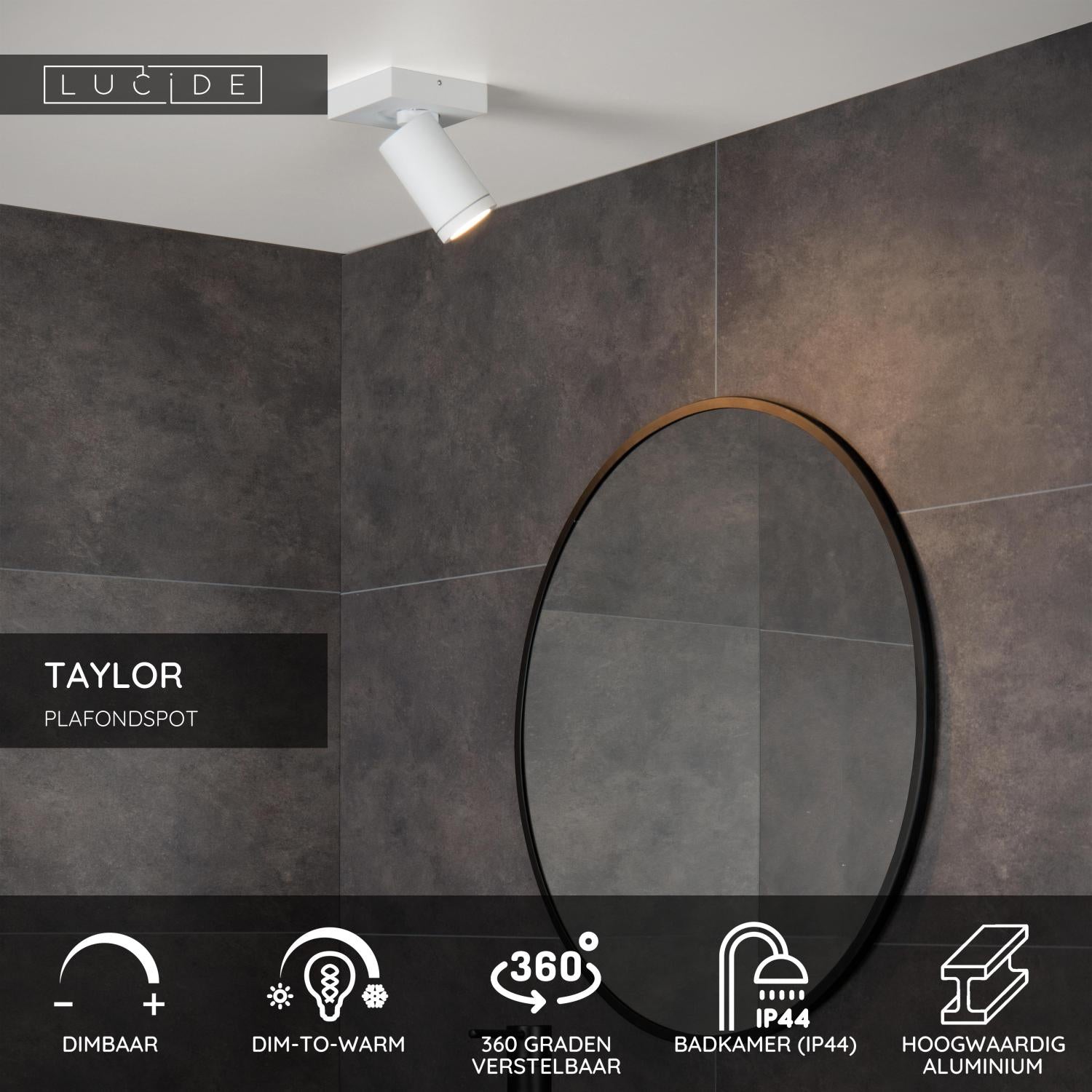 TAYLOR - Ceiling spot Bathroom - LED Dim to warm - GU10 - 1x5W 2200K/3000K - IP44 - White