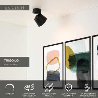 TRIGONO - Plafondspot - Ø 10,5 cm - 1xGU10 - Zwart
