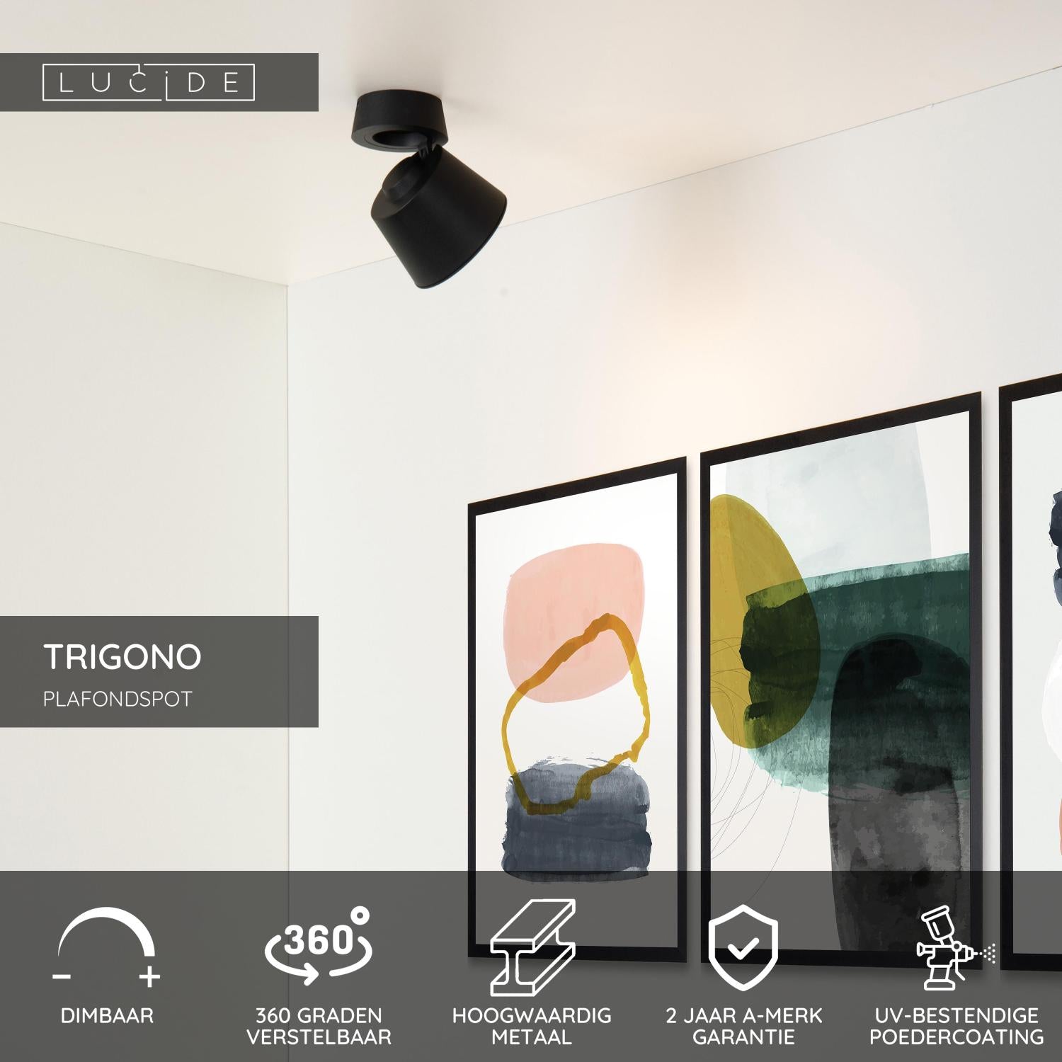 TRIGONO - Plafondspot - Ø 10,5 cm - 1xGU10 - Zwart