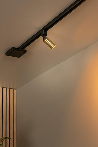 TRACK RITMO Rail spot - 1-phase Rail system / Track lighting - 1xGU10-MR11 - Matt Gold / Brass (Extension)