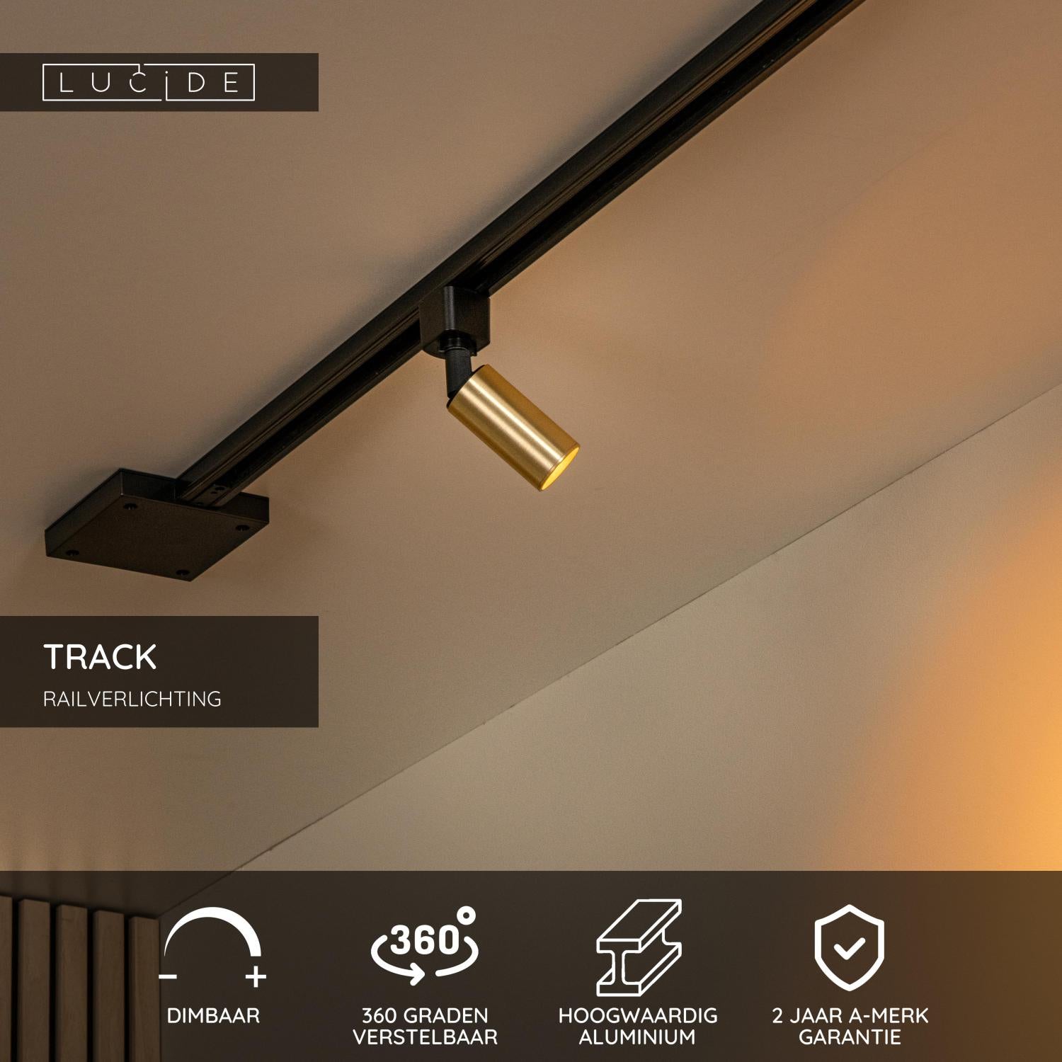TRACK RITMO Rail spot - 1-phase Rail system / Track lighting - 1xGU10-MR11 - Matt Gold / Brass (Extension)