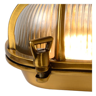 DUDLEY - Applique murale Intérieur/Extérieur - 1xE27 - IP65 - Or mat / Laiton