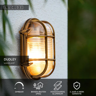 DUDLEY - Applique murale Intérieur/Extérieur - 1xE27 - IP65 - Or mat / Laiton
