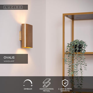 OVALIS - Wandlamp - 2xE14 - Mat Goud / Messing