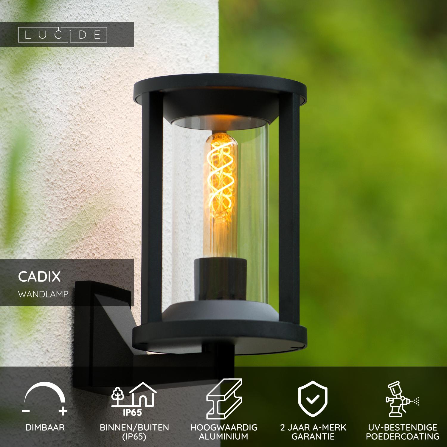 CADIX - Wandlamp Binnen/Buiten - 1xE27 - IP65 - Zwart