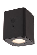 RAMIN - Applique murale - Énergie solaire - LED Var. - 1x1W 2700K/3000K - IP54 - Détecteur de mouvement et jour/nuit - Noir