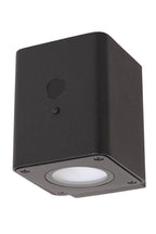 RAMIN - Applique murale - Énergie solaire - LED Var. - 1x1W 2700K/3000K - IP54 - Détecteur de mouvement et jour/nuit - Noir
