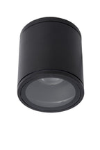 AVEN - Spot plafonnier Salle de bain - Ø 9 cm - 1xGU10 - IP65 - Noir