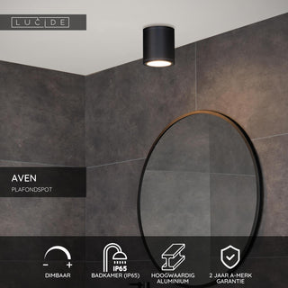 AVEN - Spot plafonnier Salle de bain - Ø 9 cm - 1xGU10 - IP65 - Noir