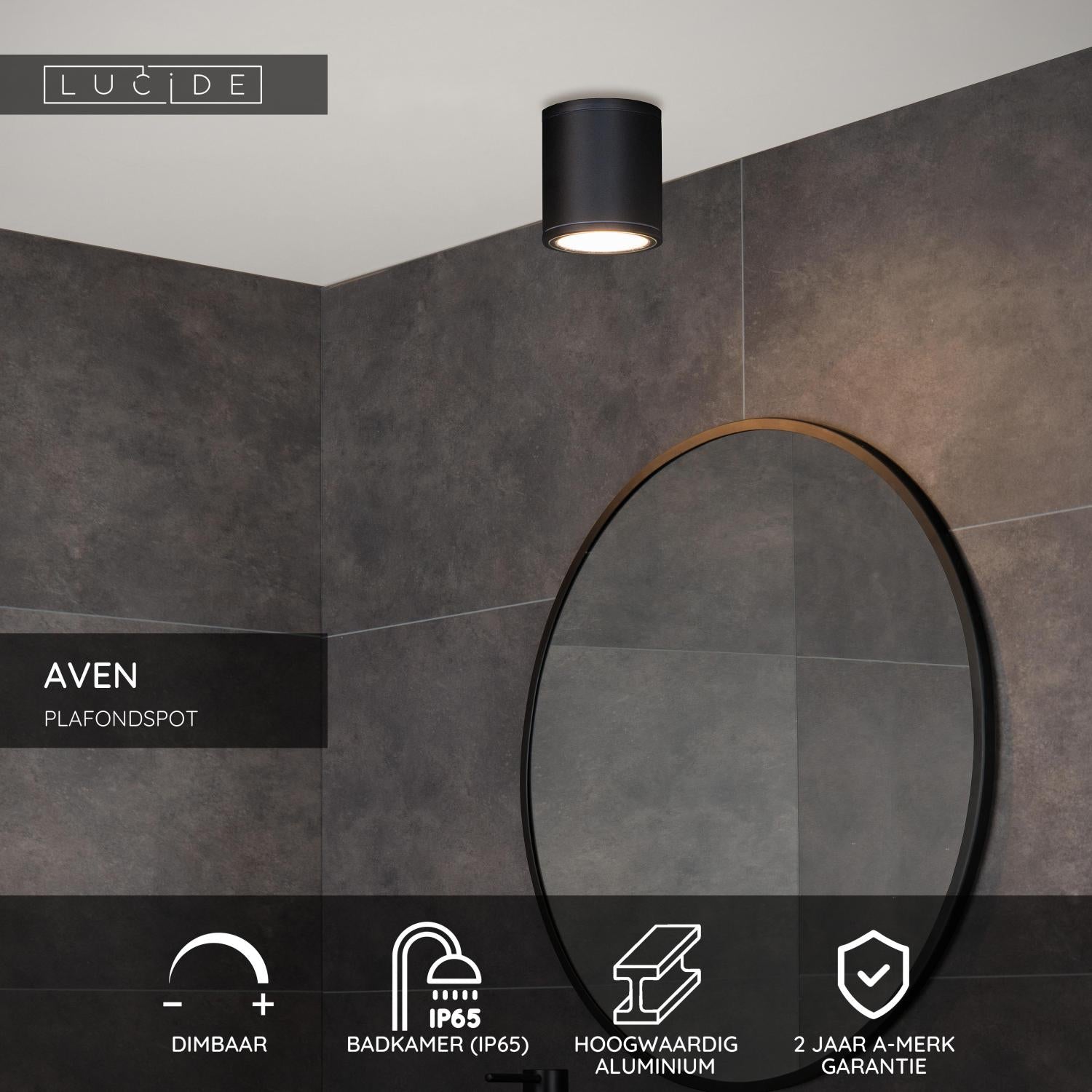 AVEN - Spot plafonnier Salle de bain - Ø 9 cm - 1xGU10 - IP65 - Noir