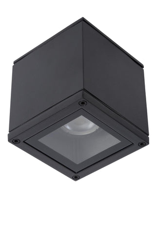 AVEN - Spot plafonnier Salle de bain - 1xGU10 - IP65 - Noir