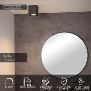 AVEN - Spot plafonnier Salle de bain - 1xGU10 - IP65 - Noir