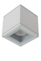 AVEN - Plafondspot Badkamer - 1xGU10 - IP65 - Wit