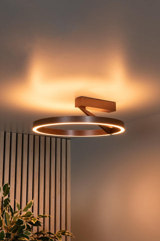 APPLAUSE - Plafonnière - Ø 40 cm - LED Dimb. - CCT - 1x26W 2200K/4000K - Koffie