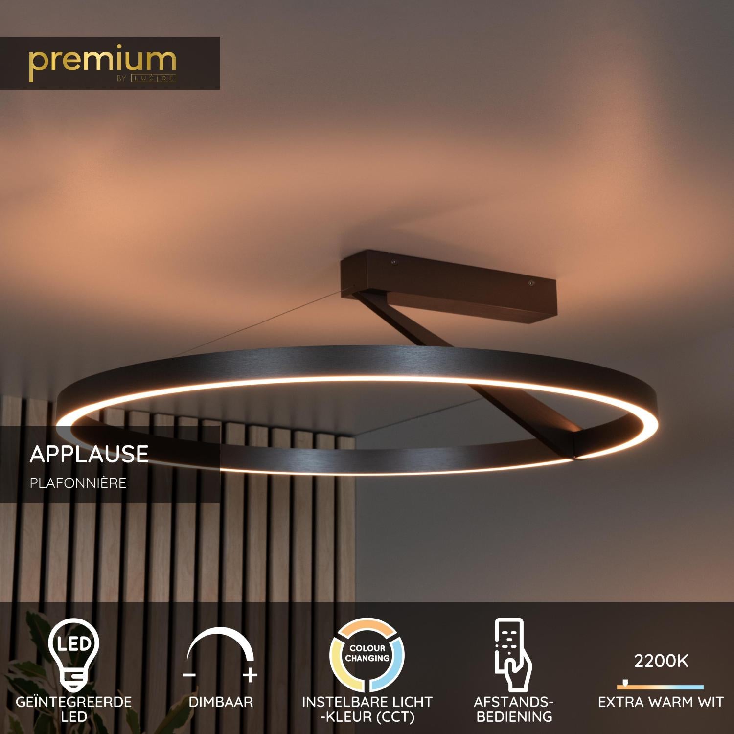 APPLAUSE - Plafonnier - Ø 60 cm - LED Dimmable - CCT - 1x40W 2200K/4000K - Gris fer