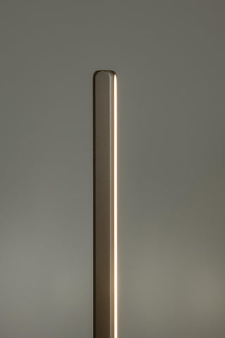 BRAGA - Vloerlamp - Ø 30 cm - LED Dimb. - CCT - 1x22W 2700K/4000K - Koffie