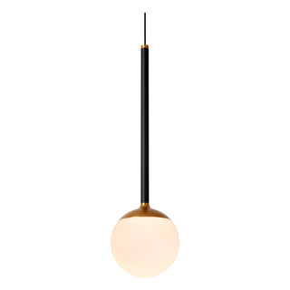 CALINA - Pendant light - Ø 9,9 cm - LED Dimmable - CCT - 1x7W 2200K/3300K - With replaceable LED module - Black
